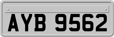 AYB9562