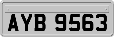 AYB9563
