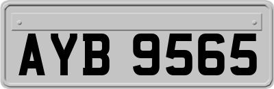 AYB9565