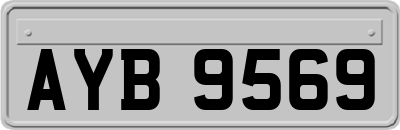AYB9569