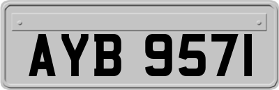 AYB9571