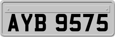 AYB9575