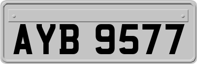 AYB9577