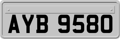 AYB9580