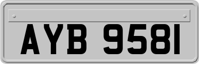 AYB9581