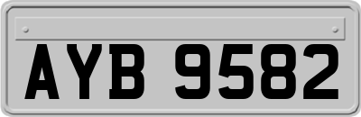 AYB9582