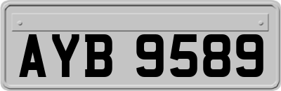 AYB9589