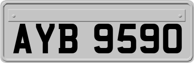 AYB9590