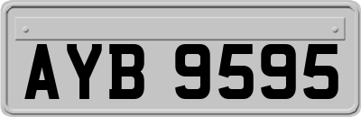 AYB9595