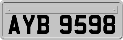 AYB9598