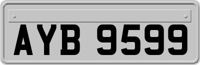 AYB9599