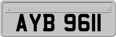 AYB9611