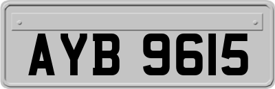 AYB9615
