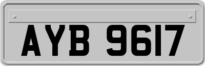 AYB9617