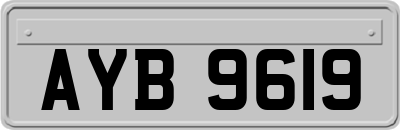 AYB9619