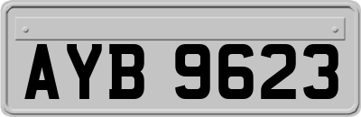 AYB9623