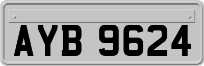 AYB9624