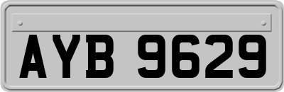 AYB9629
