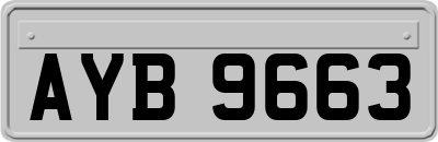 AYB9663