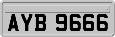 AYB9666
