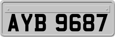 AYB9687