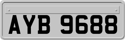 AYB9688