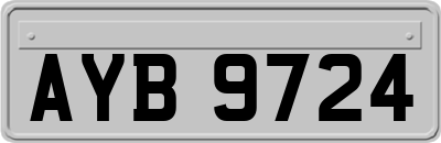 AYB9724
