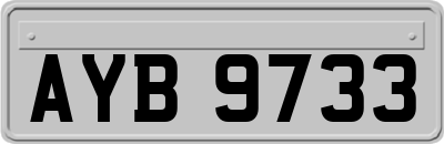 AYB9733