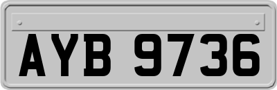 AYB9736