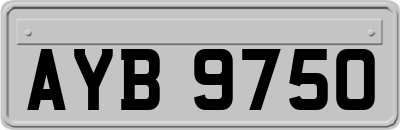 AYB9750