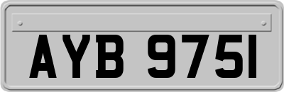 AYB9751