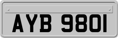 AYB9801