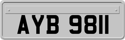 AYB9811