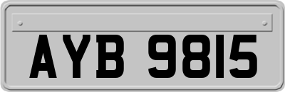 AYB9815