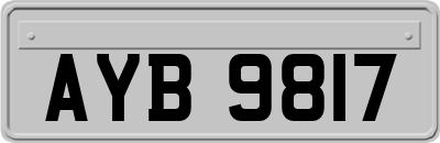 AYB9817