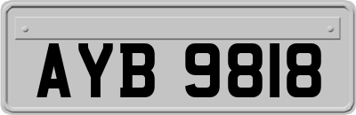 AYB9818