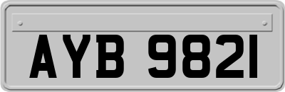 AYB9821