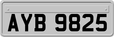 AYB9825
