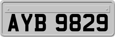 AYB9829