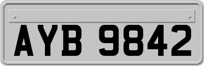AYB9842