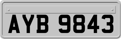 AYB9843