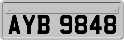 AYB9848