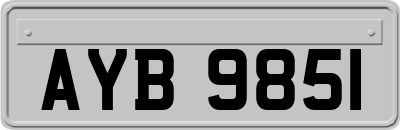 AYB9851