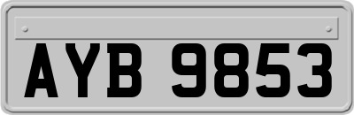AYB9853