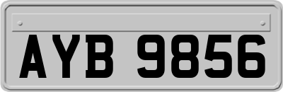 AYB9856