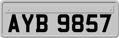 AYB9857