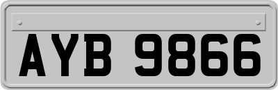 AYB9866