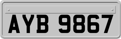 AYB9867