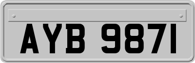 AYB9871