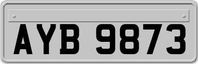 AYB9873
